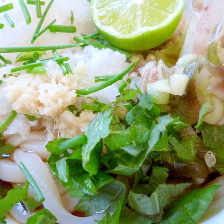 たっぷり果汁のすだちで 冷たいおろしうどん レシピ 作り方 By Iihi009 楽天レシピ たっぷり果汁のすだちで 冷たいおろしうどん レシピ 作り方 By Iihi009 楽天レシピ